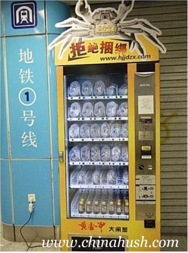 In China, A Vending Machine That Dispenses Live Crabs-1