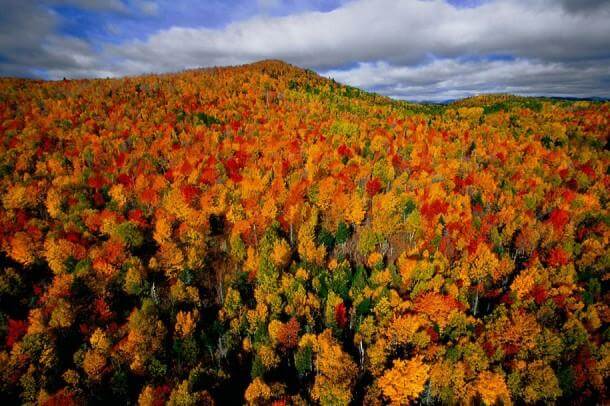 2. Autumn Forest in the Region of Charlevoix, Quebec, Canada