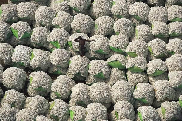 7. Worker Resting on Bales of Cotton, Ivory Coast