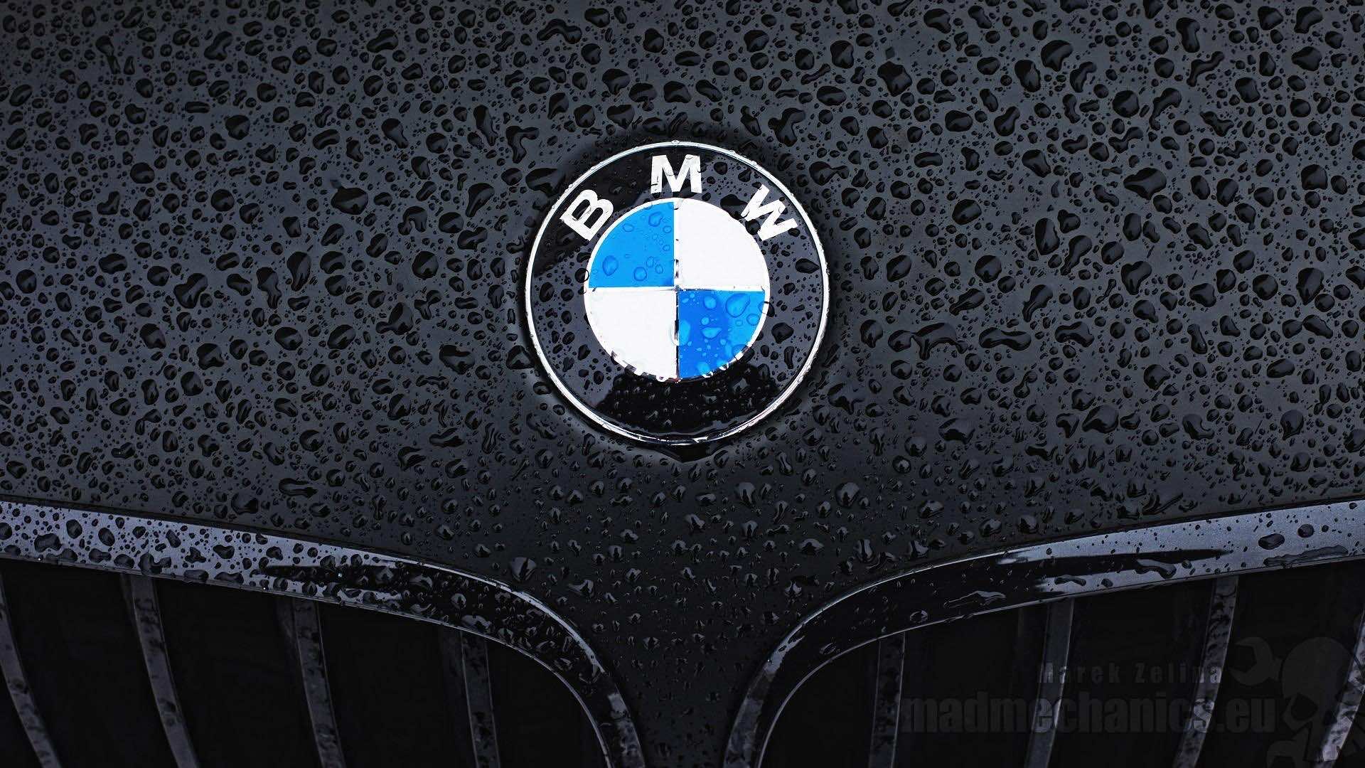 Bmw logo wallpaper download #1