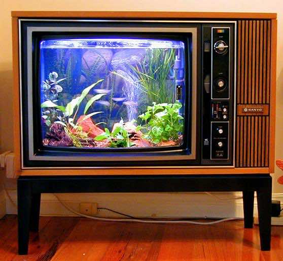 Old-TV-Aquarium