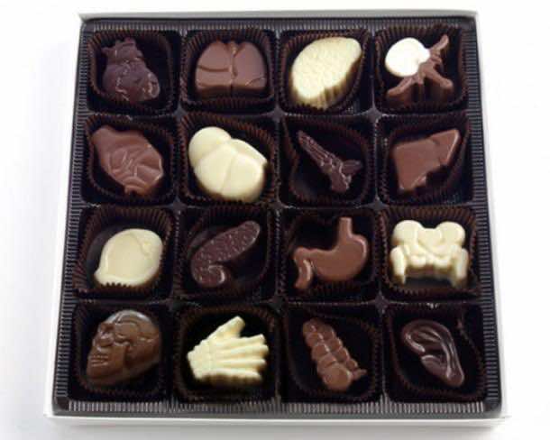 18. Organ Chocolates