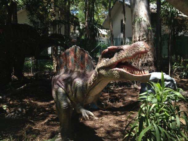 Palmersaurus Dinosaur Park 3