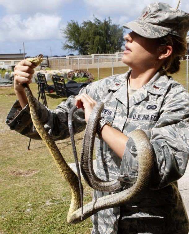 U.S. Air force is Tired of these Snakes
