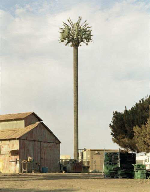camouflaged_cell_towers (12)