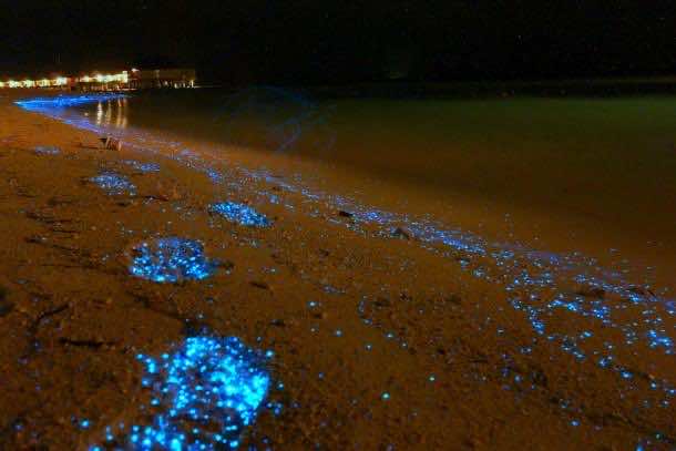 Glowing Beach 2