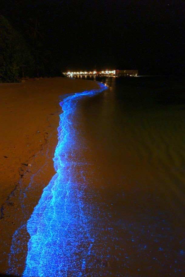 Glowing Beach 4