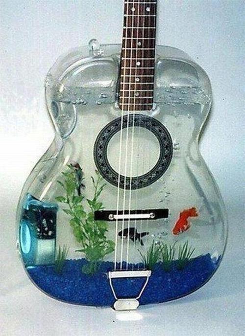 2. Guitar Fish Tank