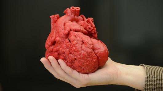 3D-printed_heart (1)