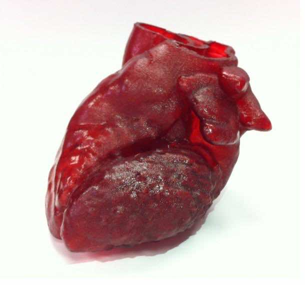 3D-printed_heart (2)