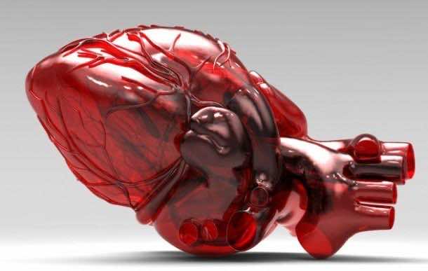 3D-printed_heart (5)