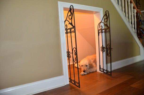 6. Dog under the stairs!