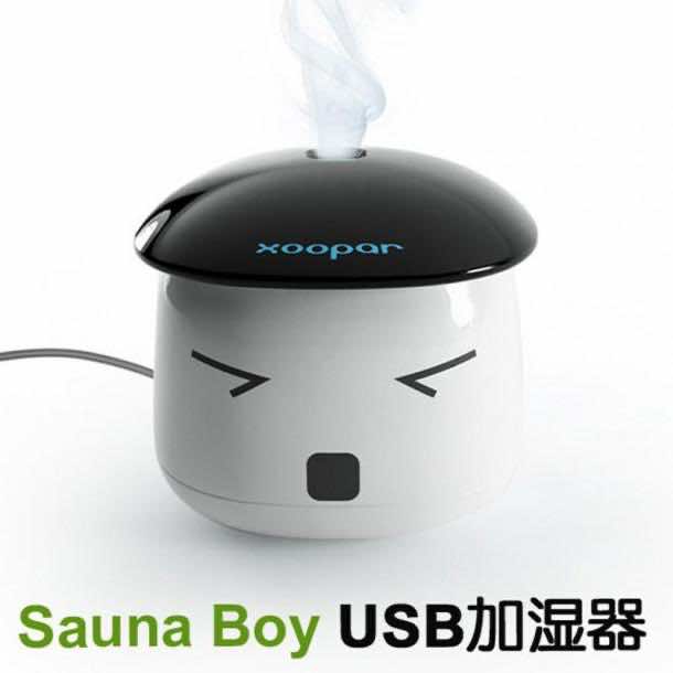 Sauna Boy Humidifier 4