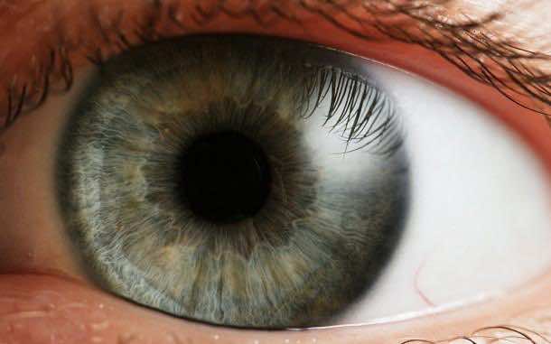 the-human-eye