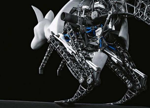 Bionic-Kangaroo-hind-legs1
