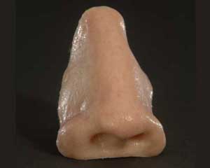 artificial nose
