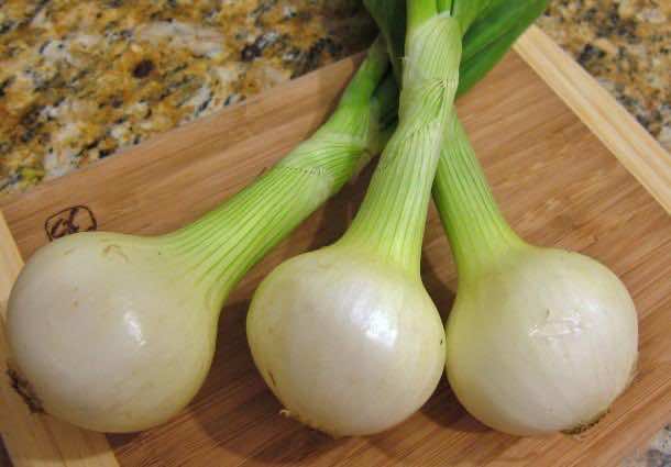1. Green Onions