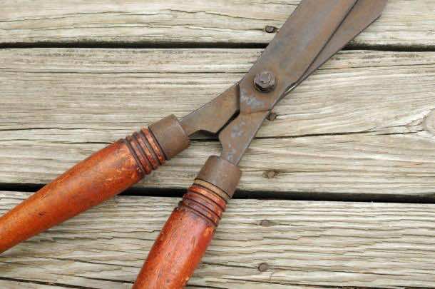10. Rusty tools