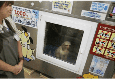 Dog bath vending machine