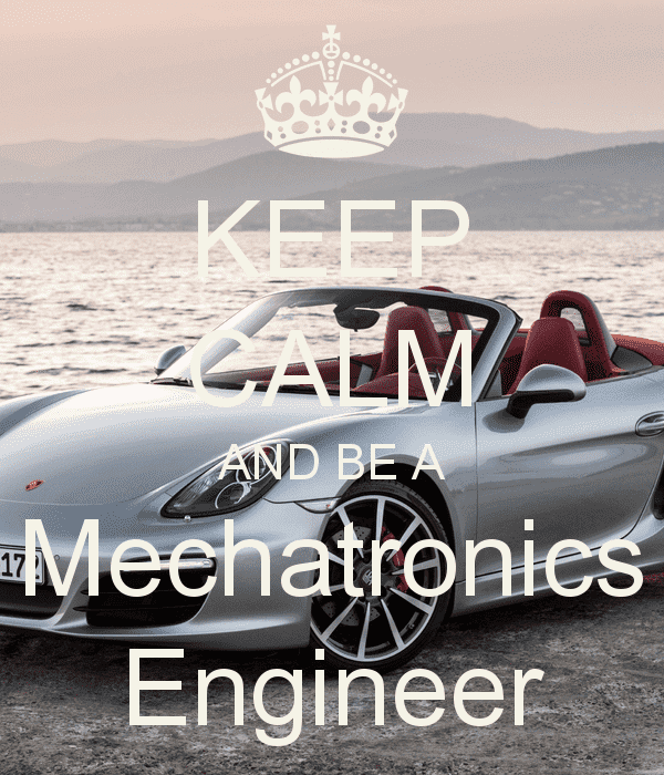What is Mechatronics Engineering19