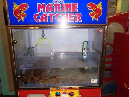 lobster vending machine