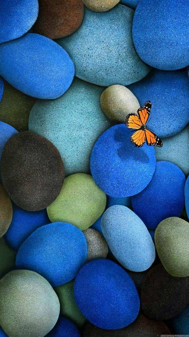 HD samsung wallpapers butterfly