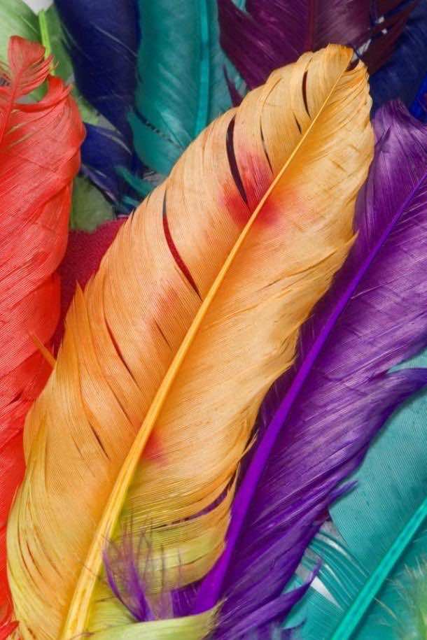 HD samsung wallpapers feather