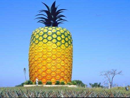 2. The Big Pineapple, South Africa