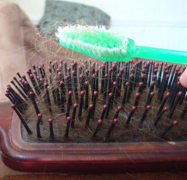 9. Clean Hairbrush