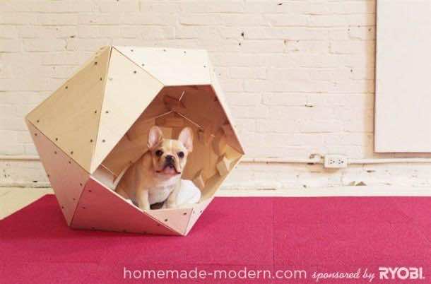 Amazing Doghouses