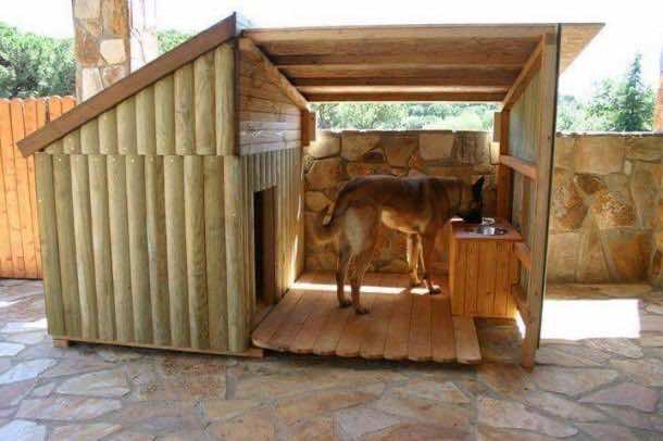 Amazing Doghouses 2