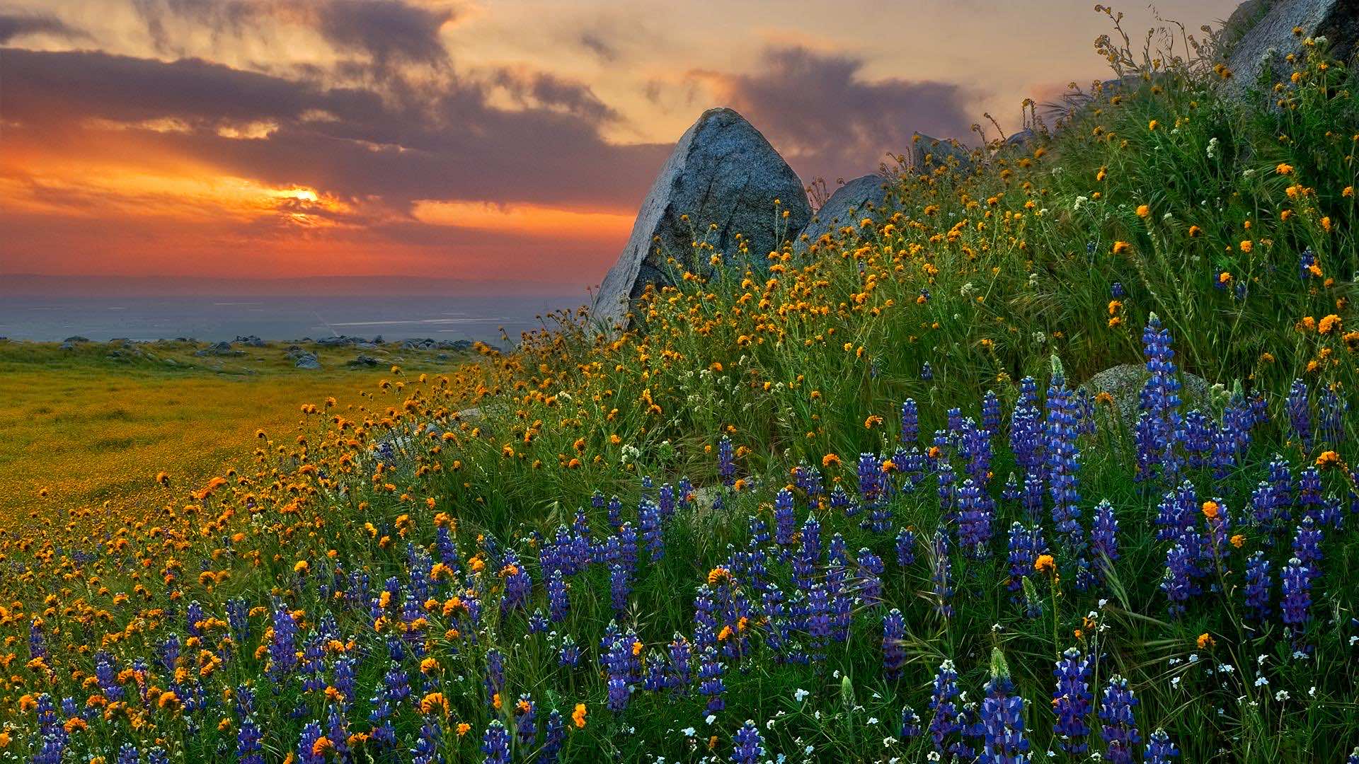 50 Stunning HD Landscape Photographs That Show the True Beau