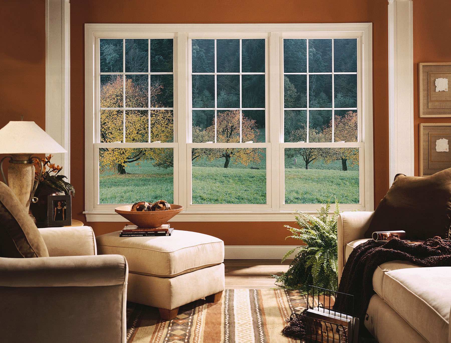 living room window ideas pictures