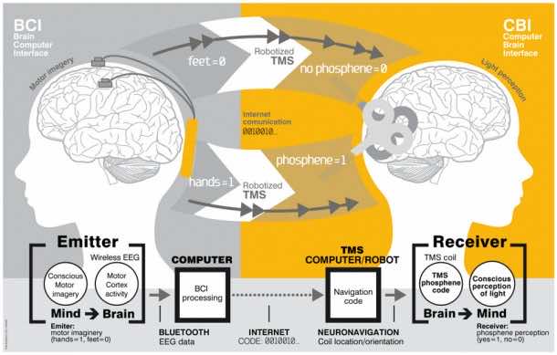 First Brain-to-Brain Communication Carried out Between Persons 5,000 Miles Apart
