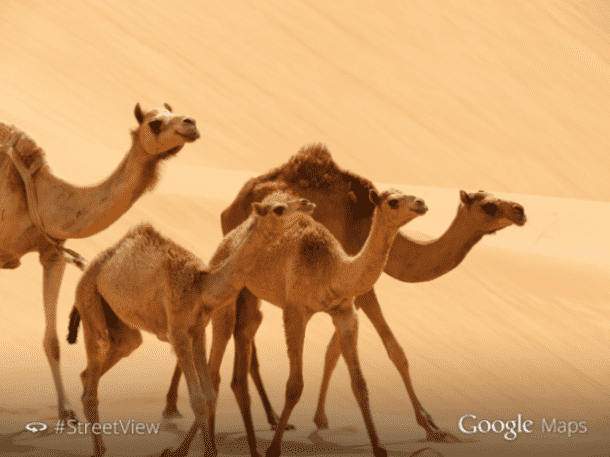 Google Maps Liwa Desert in Abu Dhabi
