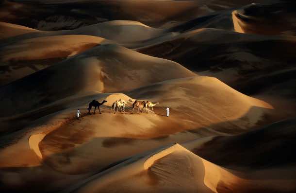 UAE-CAMEL-DESERT-NATURE-TOURISM