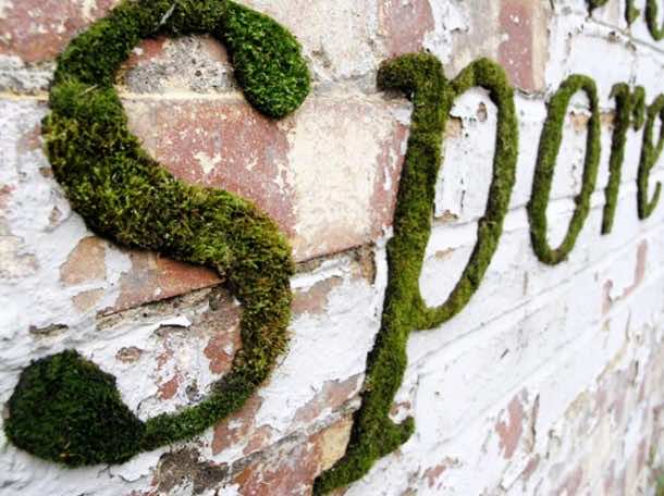 Moss Graffiti – How to Do It
