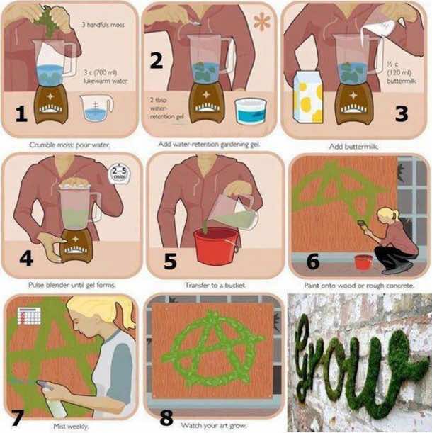 Moss Graffiti – How to Do It4
