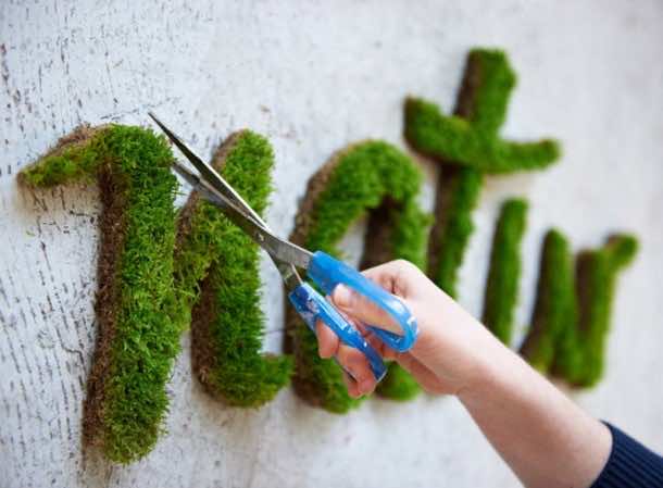 Moss Graffiti – How to Do It8