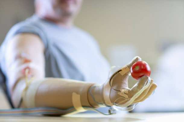 Prosthetic Limb That is Mind Controlled Imparts Sense of Touch2