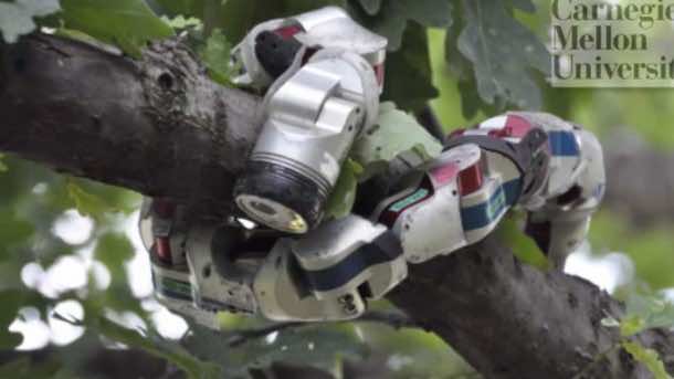 Snake Robot Learns a Trick from Sidewinder Rattlesnake5