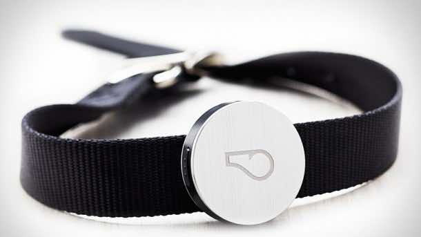 Whistle Activity Monitor – The fitness tracker for your pets