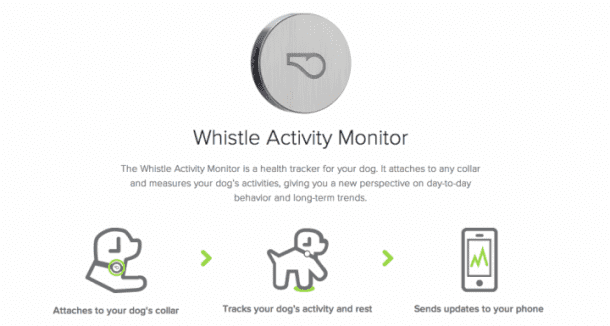 Whistle Activity Monitor – The fitness tracker for your pets3