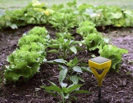 7. A solar-powered gardening system
