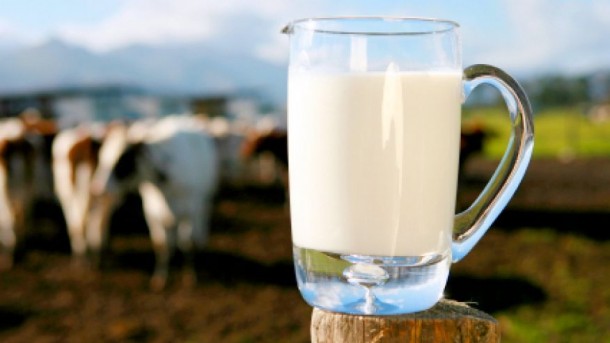 Muufri – The Alternative for Cow Milk4