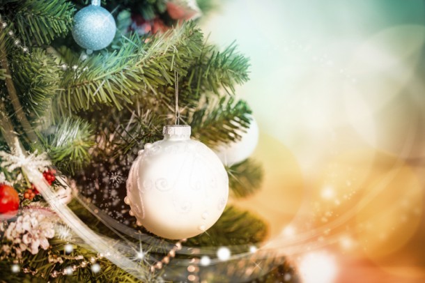 Here’s How to Prolong The Christmas Tree’s Life 4