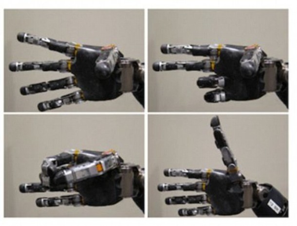 Mind Controlled Robotic Hand – 10D