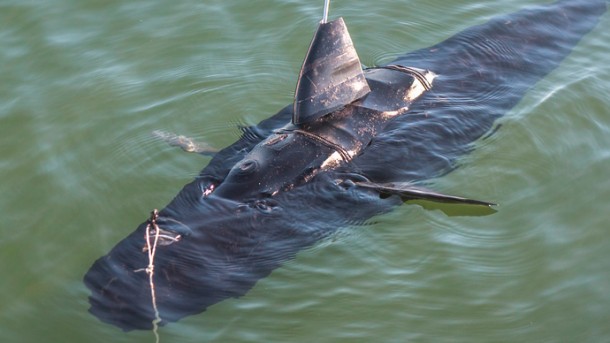 US Navy Creates and Tests GhostSwimmer 2