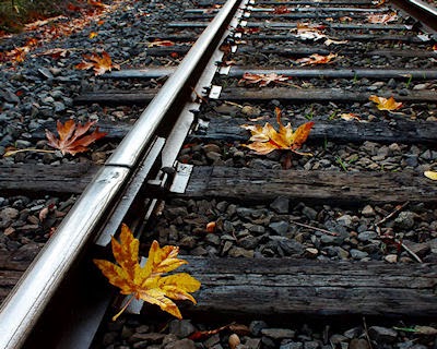 Vaporize Leaves on Rail tracks - Laser Railhead Cleaner3