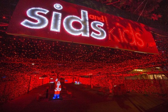 World’s Largest Christmas Lights Display3